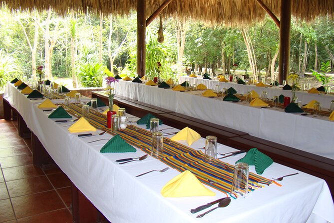 Tikal Exclusive Full-Day Tour - Inside Tikal: how the walking works and what pace to expect