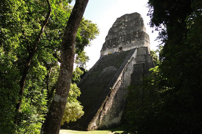 Tikal Exclusive Full-Day Tour - Temple IV and the main ruin moment