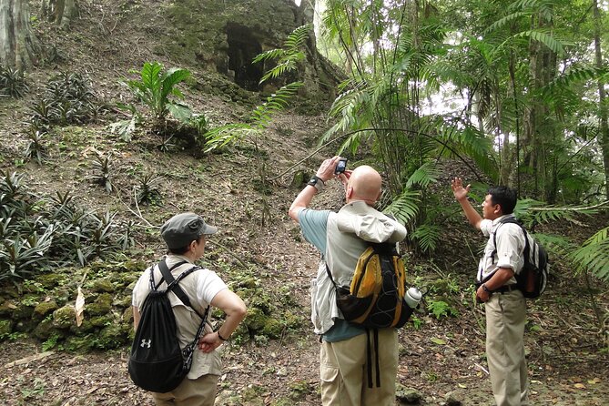 Tikal Exclusive Full-Day Tour - Pickup in Flores or Mundo Maya Airport, and the first hour that sets the tone