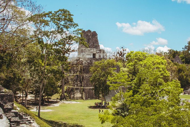 Tikal Exclusive Tour - Your private guide, and how Noel turns the jungle into the lesson