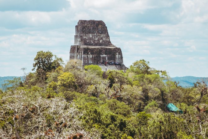 Tikal Exclusive Tour - Inside Tikal National Park, what you’ll focus on during the ~5-hour visit