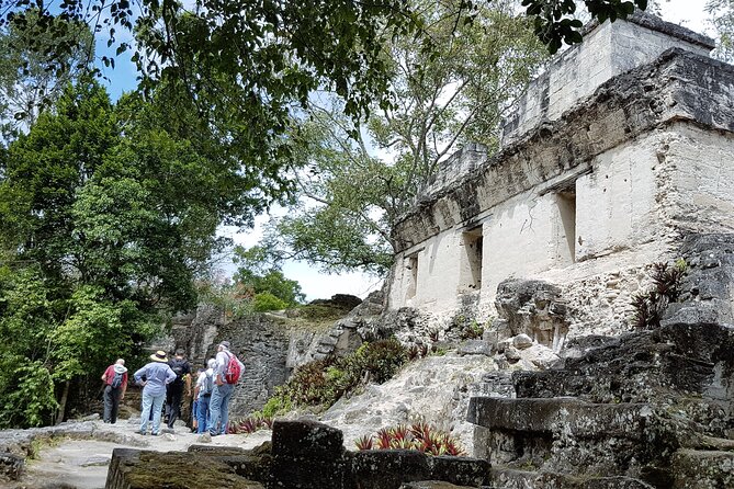 Tikal from Flores or Mundo Maya Airport with transportation, local guide and lunch - Jungle timing: weather, birds, and animal spotting