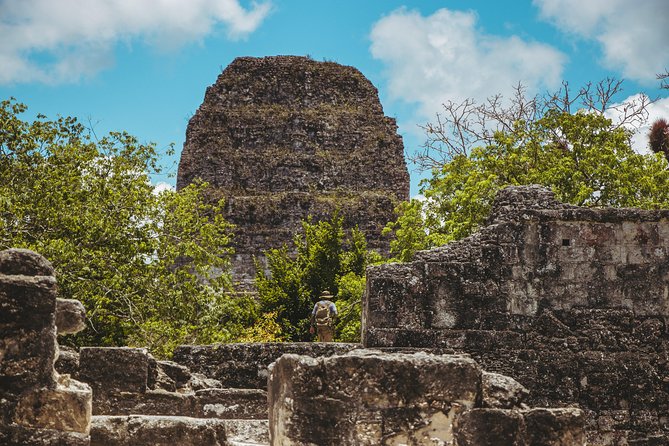 Tikal From Guatemala - Price and Value: What $425 Really Buys