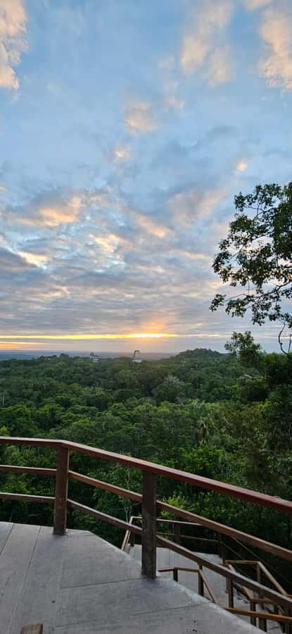 Tikal from Hotel Camino Real El Remate - All Inclusive - Key things I’d circle before you go