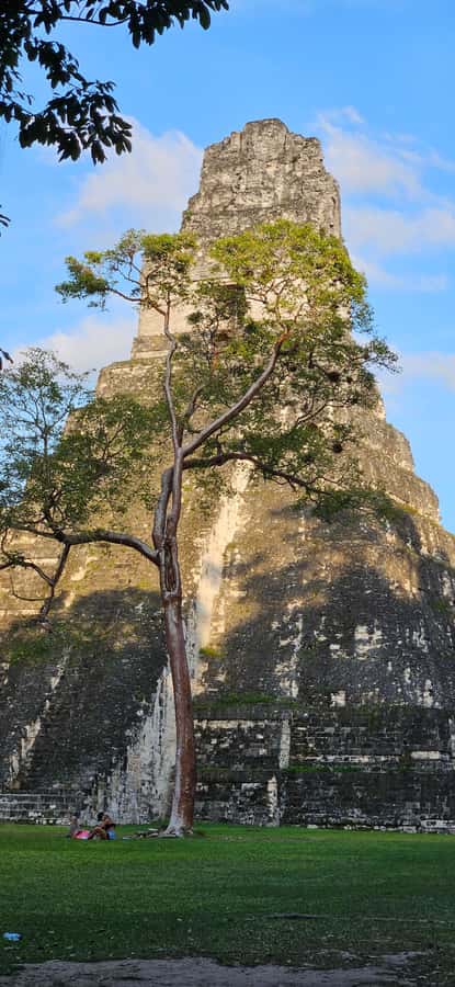 Tikal from Hotel Camino Real El Remate - All Inclusive - Tikal from El Remate: the rainforest ruins day that actually feels organized