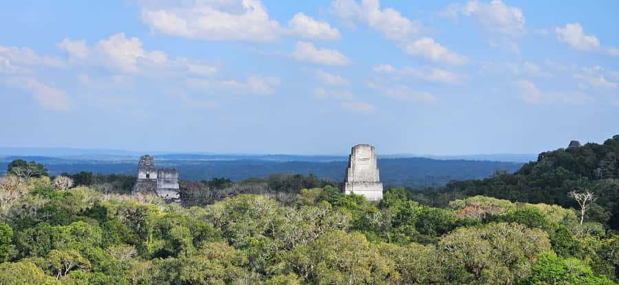 Tikal from Hotel Camino Real El Remate - All Inclusive - Small-group pace: how the van ride turns into a real walking tour