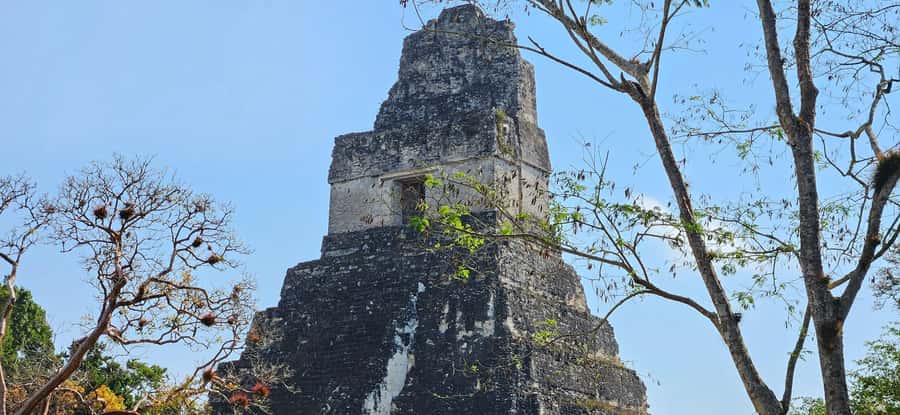 Tikal from Hotel Camino Real El Remate - All Inclusive - First orientation stops: Model of Tikal and the Ceiba National Tree