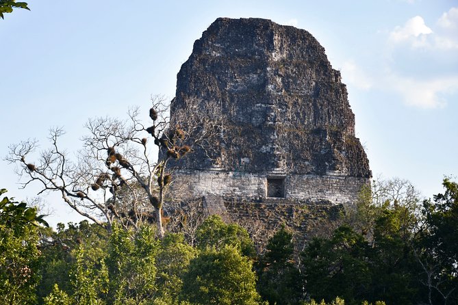 Tikal Full-Day Group Tour - Entering Tikal: Central Square, Northern Acropolis, Lost World, and Temple IV