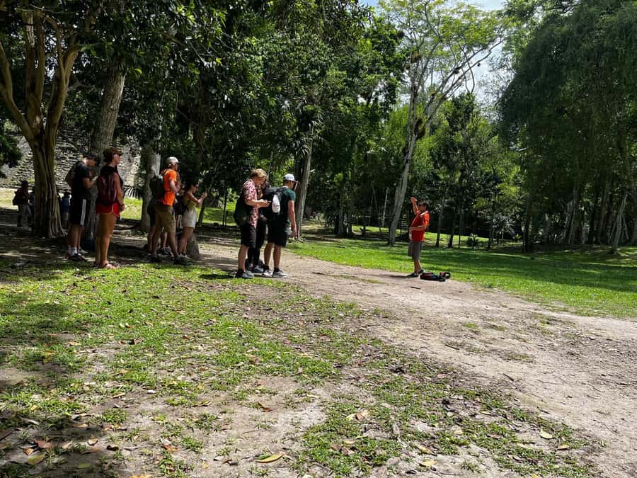 Tikal Group Tour from Flores - Why This Flores to Tikal Tour Is a Good Half-Day Plan