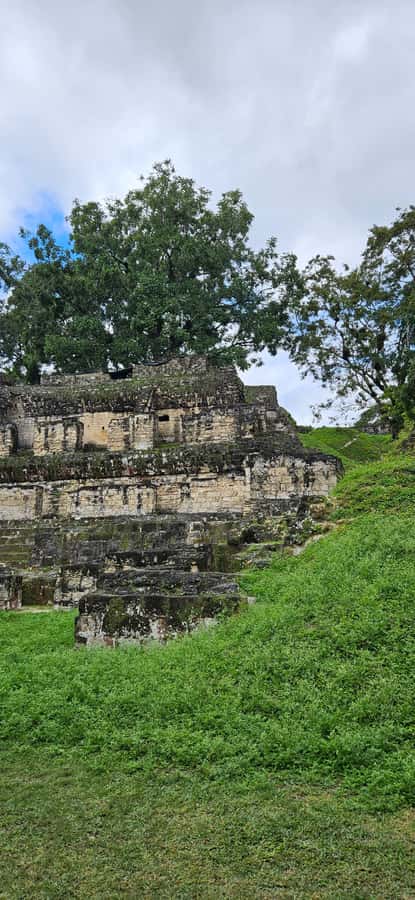Tikal Group Tour Transportation, Guide plus Lunch - Key takeaways before you go