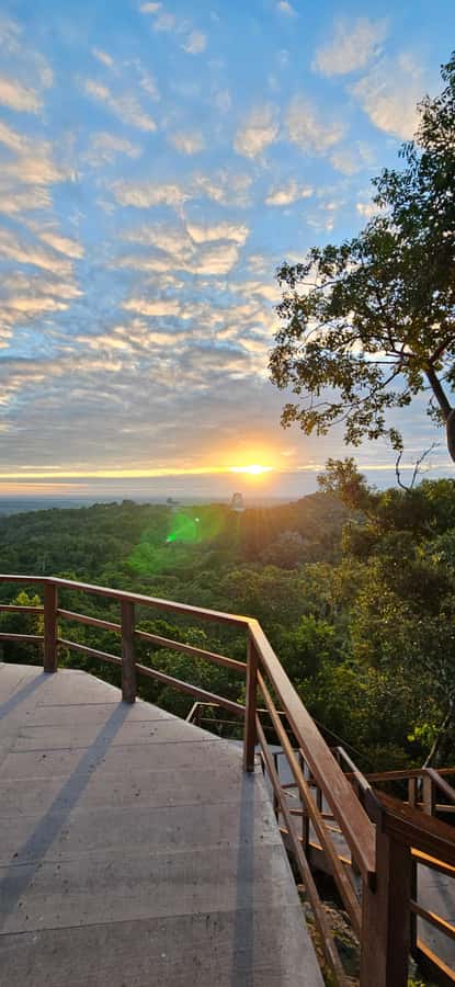 Tikal Group Tour Transportation, Guide plus Lunch - Why this Tikal day trip feels different: temples plus jungle time