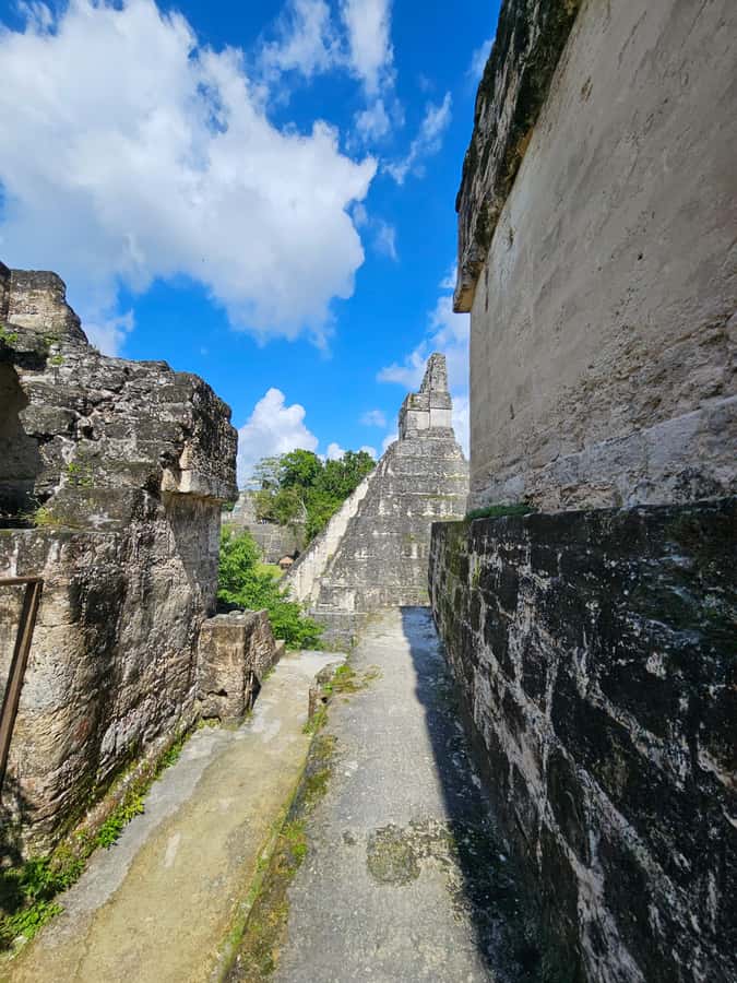 Tikal Group Tour Transportation, Guide plus Lunch - Getting to Tikal smoothly: pickup, rides, and timing that actually works