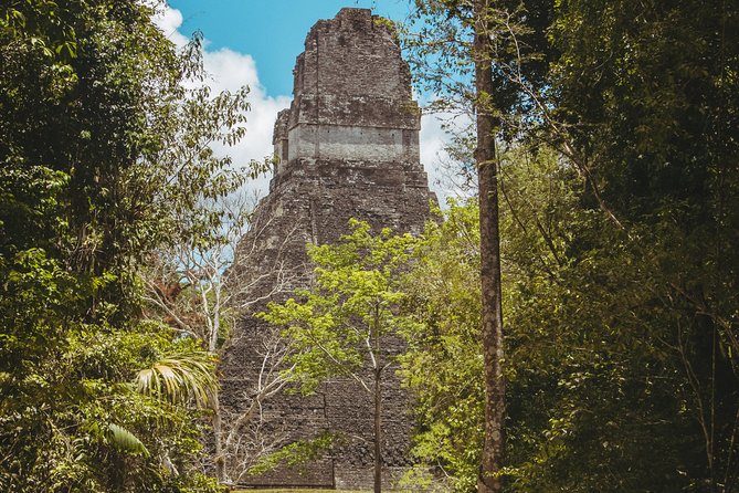 Tikal National Park Full-Day Guided Tour from Flores - Tikal in One Long Day: Flores Pickup to Temple IV