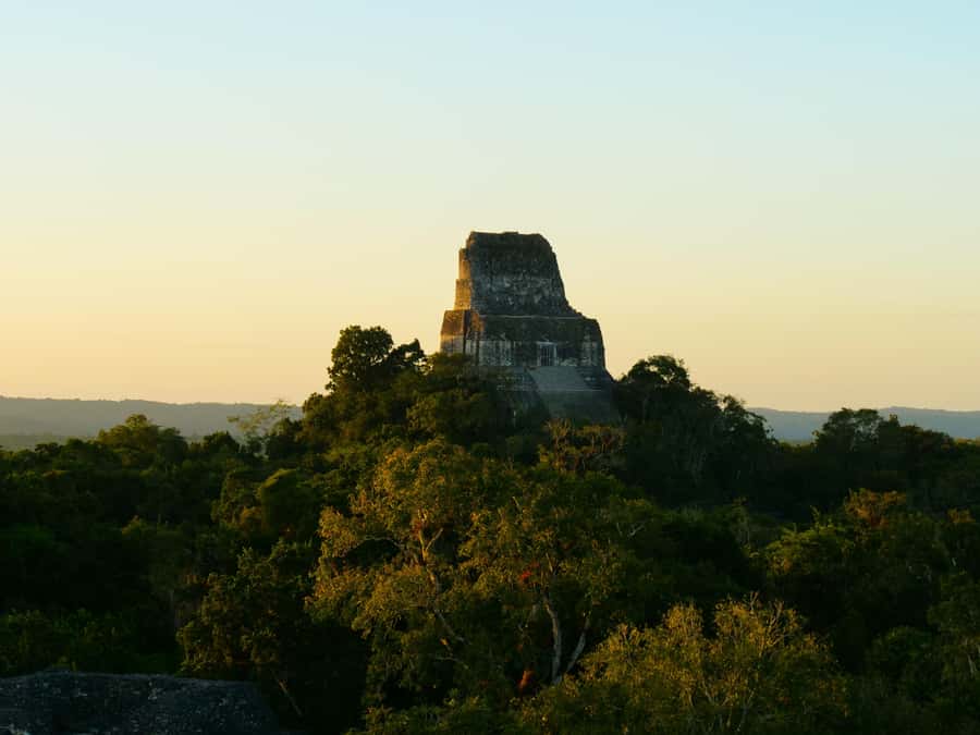 Tikal Privade Tour all included - Pickup from Flores, nearby hotels, and the airport