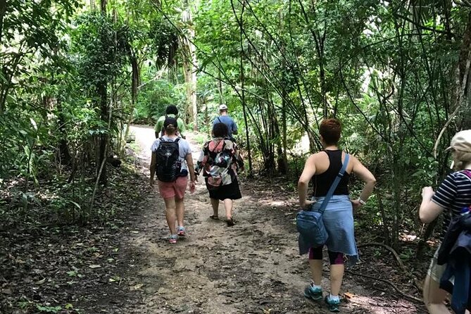 Tikal Private Day Tour Maya Adventure from Flores - Price and value: is $209 per person fair for a private Tikal day?