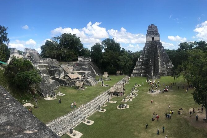 Tikal Private Day Tour Maya Adventure from Flores - Tikal National Park: seeing more than just the postcard temples