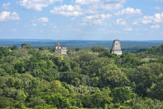 Tikal Private Tour from Flores Guatemala with Transportation - Key Things That Make This Tikal Private Tour Work