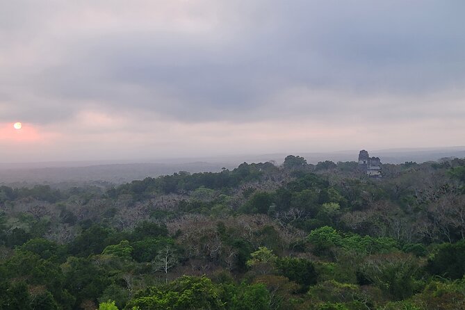 Tikal Private Tour from Flores Guatemala with Transportation - The Guided Walk: Temples Plus Jungle Life