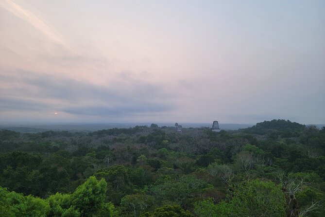 Tikal Private Tour from Flores Guatemala with Transportation - Things to Bring for Tikal Jungle Time