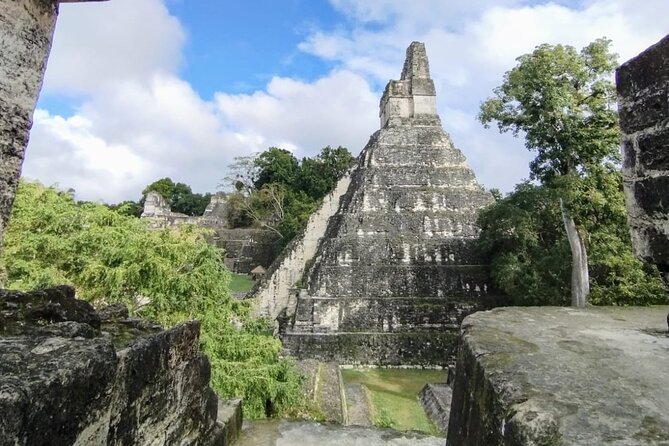 Tikal Private Tour From San Ignacio Belize with Lunch Included - Wildlife in the Park: How to Make Monkey Sightings More Likely