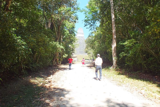 Tikal Ruins Day Tour from Flores - Key highlights that make this tour worth your time