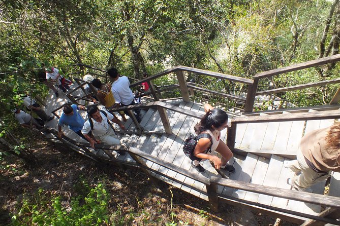Tikal Ruins Day Tour from Flores - The ride to Tikal: shared van comfort and what to expect