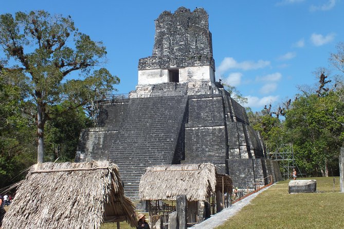 Tikal Ruins Day Tour from Flores - Guide stars from the day: Giovanni, Henry, Ruben, and Nata