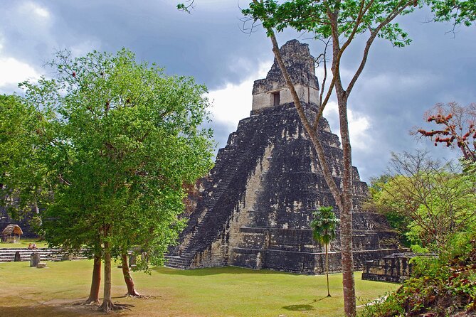 Tikal Ruins Day Tour from Flores - Rain, heat, and delays: the real stuff that shapes your experience