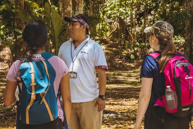 Tikal Small Group all Included From Flores - Starting in the Park: From 3,000 Structures to a Coherent Story