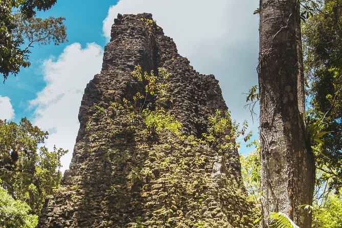 Tikal Small Group all Included From Flores - Lunch Inside the Park: Traditional Food, Multiple Options, Real Recovery Time