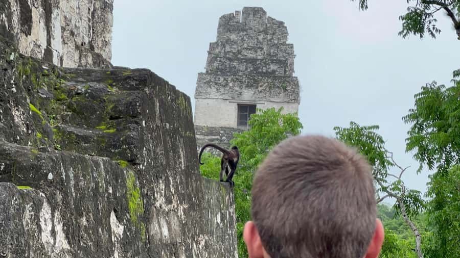 Tikal Sunrise, Archeological focus and Wildlife Spotting - Central Acropolis: where royal life played out in courtyards and a tall palace
