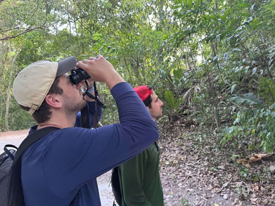 Tikal Sunset, Archeological focus and Wildlife Spotting - Why Tikal Sunset feels different than a standard ruins day