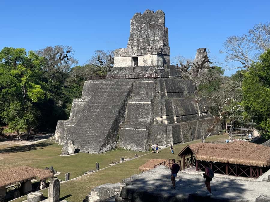 Tikal Sunset, Archeological focus and Wildlife Spotting - Palace of Grooves: architecture that rewards patient looking