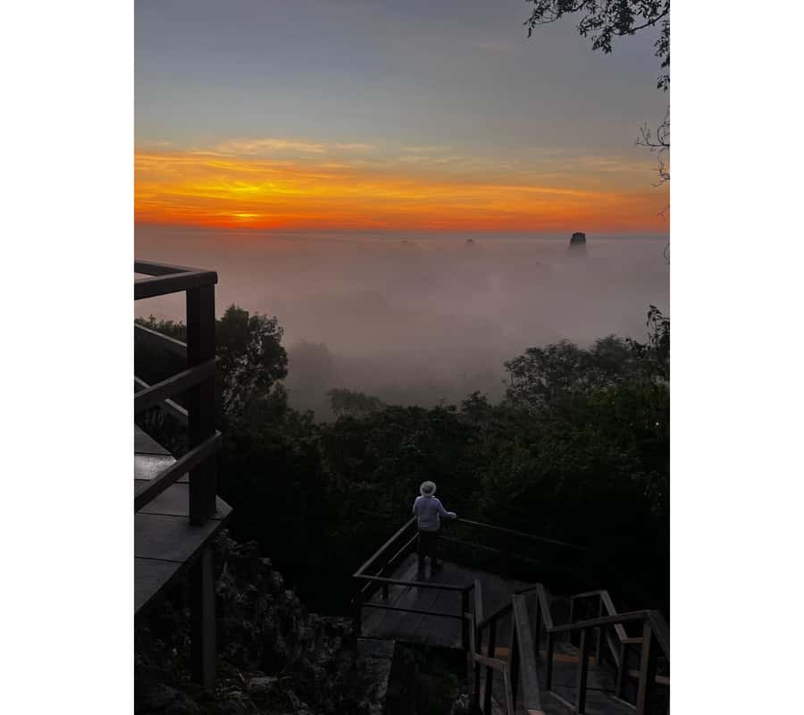 Tikal Sunset Experience: Archaeological Tour + Sunset Views - The Guided Ruins Walk: What a Local Guide Adds