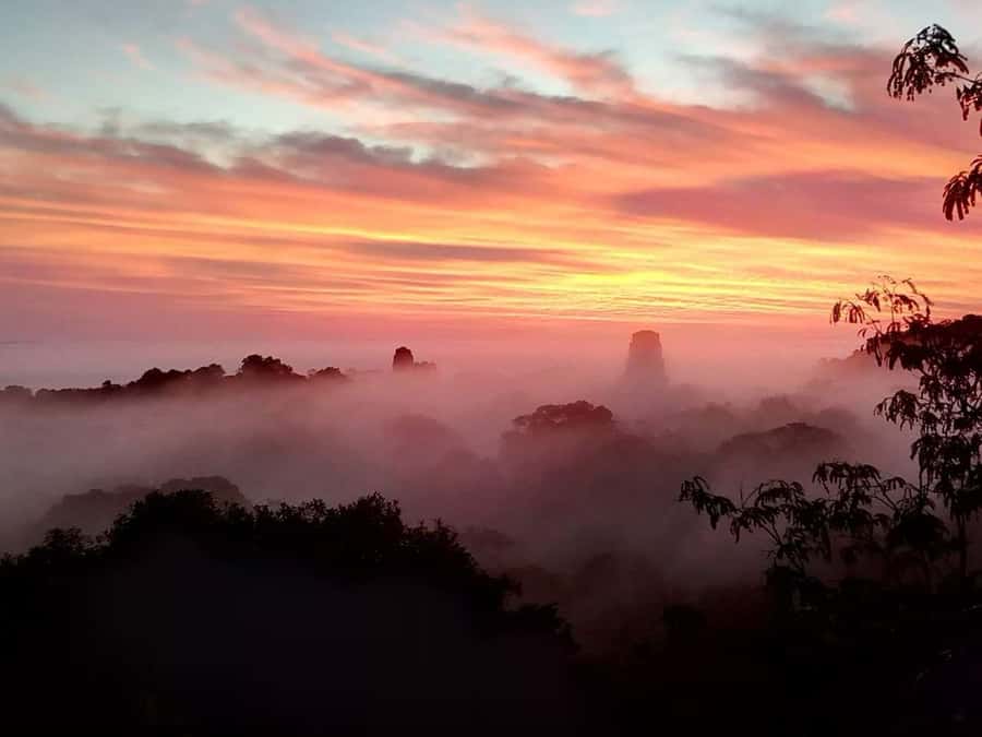 Tikal Sunset Experience: Archaeological Tour + Sunset Views - Entering the Park: Tickets, Lines, and How to Avoid Friction