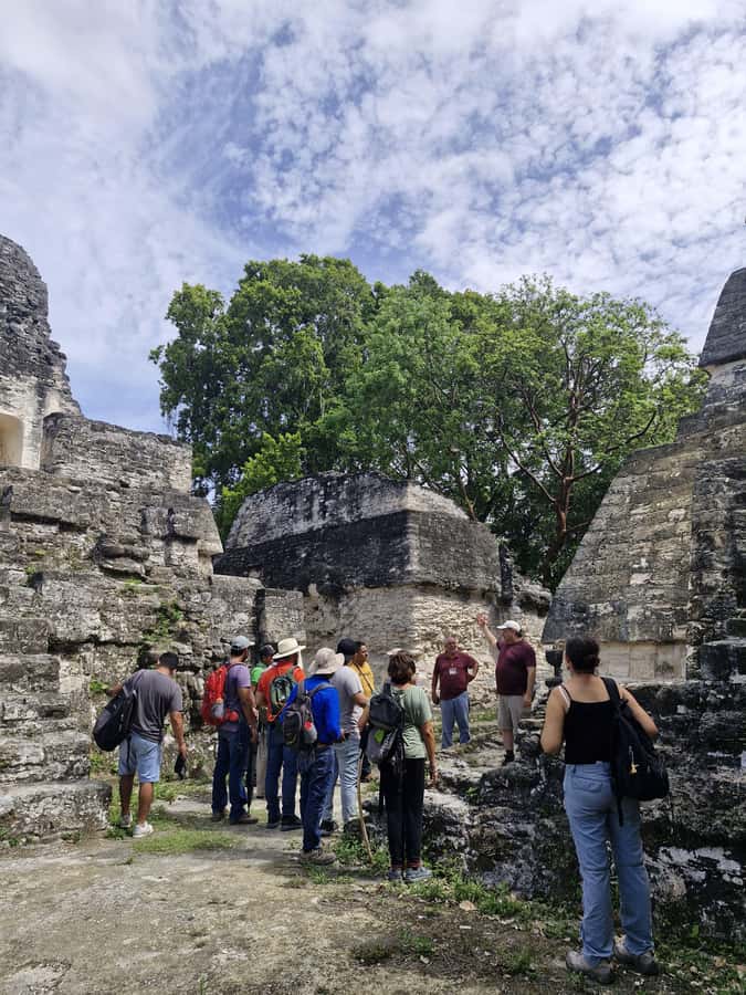 Tour and transportation with tour guide to Tikal. - Price value: what $20 covers, and what you should budget separately