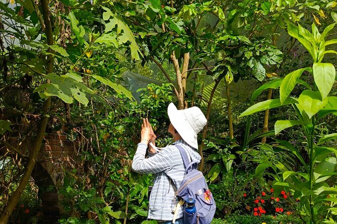 Tour in the Atitlan Nature Reserve - The route: from San Pedro La Laguna into the reserve