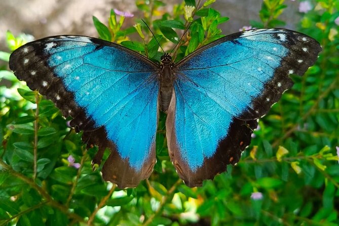 Tour in the Atitlan Nature Reserve - Lake Atitlan first: why stop one matters