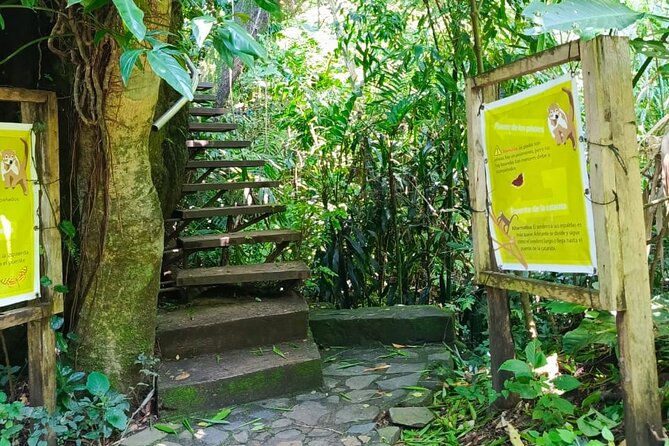 Tour in the Atitlan Nature Reserve - Guide Vick and what good guiding actually looks like
