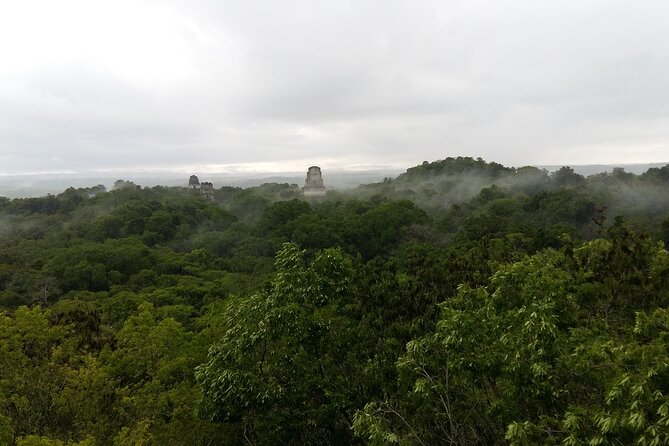 Tour to Tikal (Awesome) - Archaeology, Flowers, and Fauna, and Why the Guide Makes It