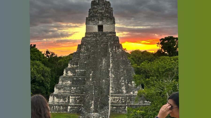 Tour to Tikal: from Mundo Maya Airport in Flores - Key Points to Know Before You Go
