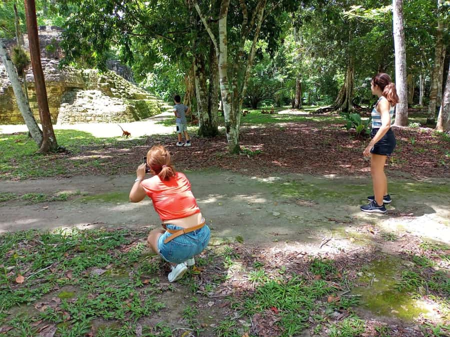 Tour to Tikal: from Mundo Maya Airport in Flores - Lunch, Shopping, and the Bus Return Without the Chaos