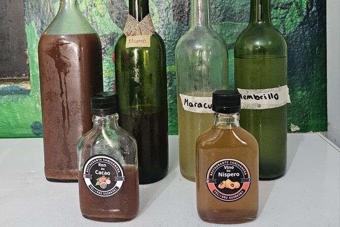 Wine and Chocolate Tour in Antigua - Artisan Wine in Plain Language: What You Learn After the Tasting