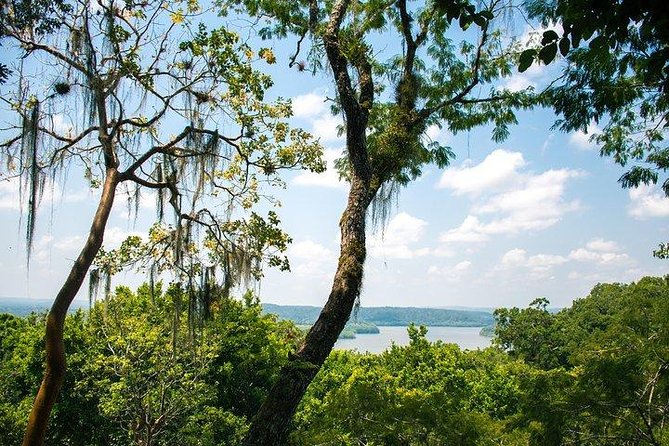 Yaxha VIP Exclusive Sunset Tour from Flores Guatemala - Walking Yaxha: Temples, Trees, and Lake Views